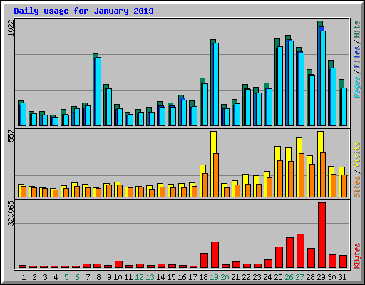 Daily usage for January 2019