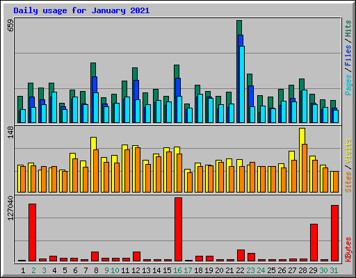 Daily usage for January 2021