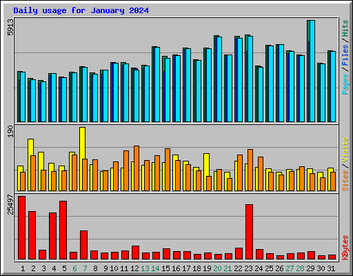 Daily usage for January 2024