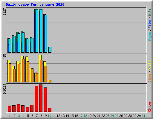 Daily usage for January 2026