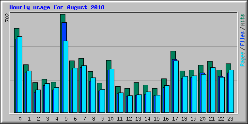 Hourly usage for August 2018