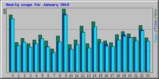 Hourly usage for January 2019