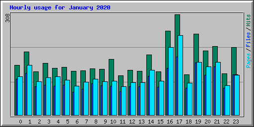 Hourly usage for January 2020