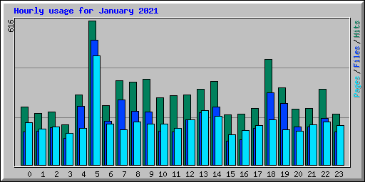 Hourly usage for January 2021