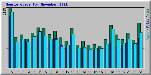 Hourly usage for November 2021