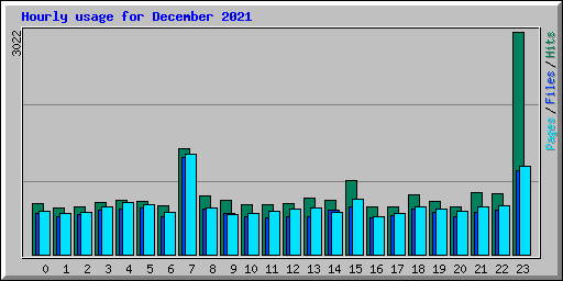 Hourly usage for December 2021