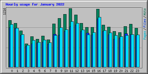 Hourly usage for January 2022