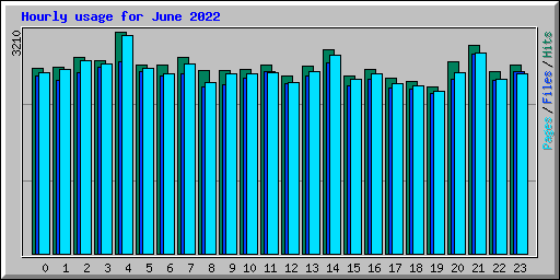 Hourly usage for June 2022