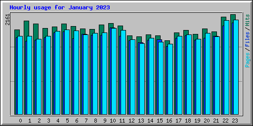 Hourly usage for January 2023