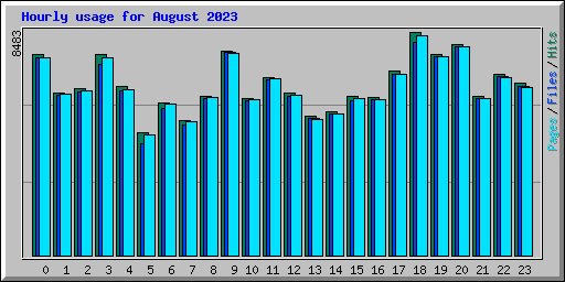 Hourly usage for August 2023