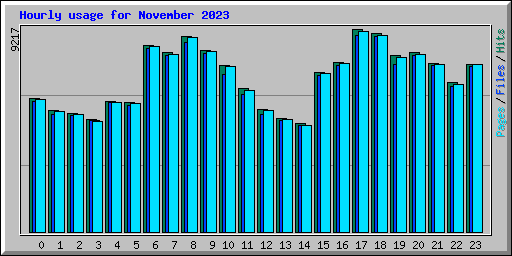 Hourly usage for November 2023