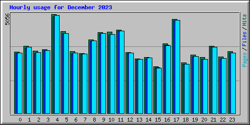 Hourly usage for December 2023