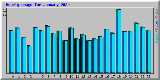 Hourly usage for January 2024