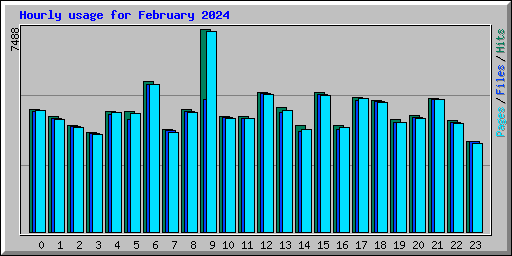 Hourly usage for February 2024