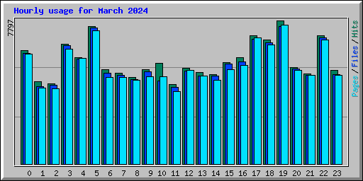 Hourly usage for March 2024