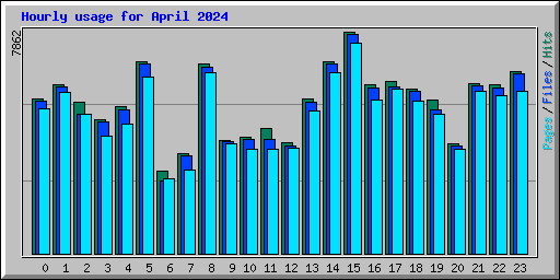 Hourly usage for April 2024