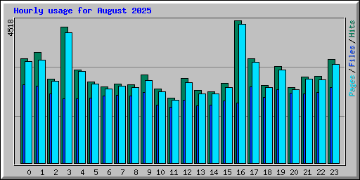 Hourly usage for August 2025