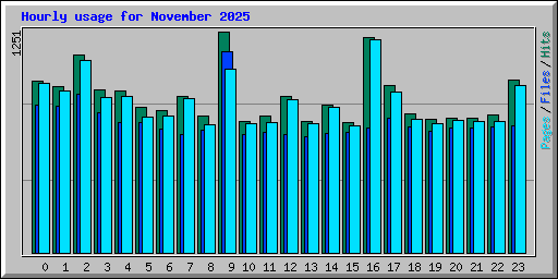 Hourly usage for November 2025