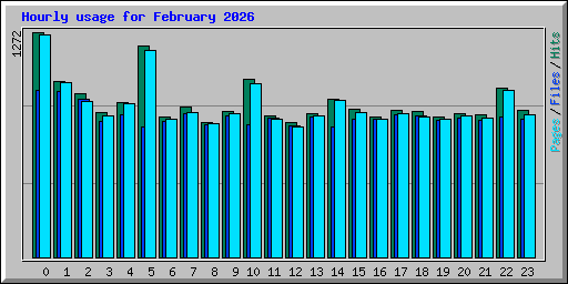 Hourly usage for February 2026