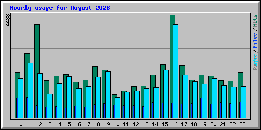 Hourly usage for August 2026